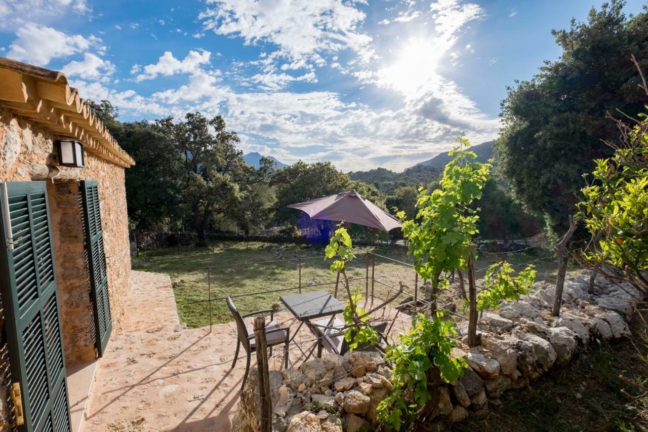 לוק Agroturismo Son Alzines מראה חיצוני תמונה
