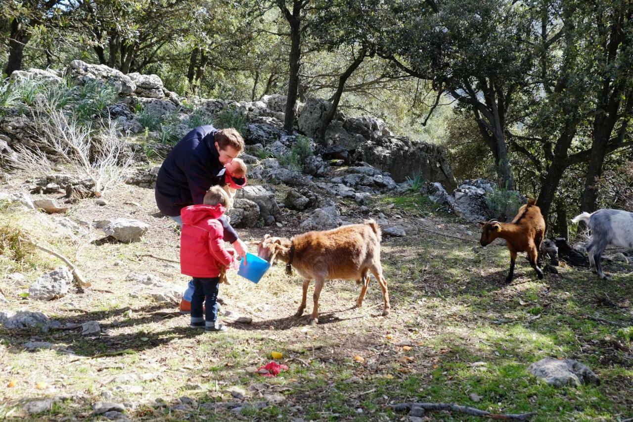 הוילה לוק Agroturismo Son Alzines מראה חיצוני תמונה