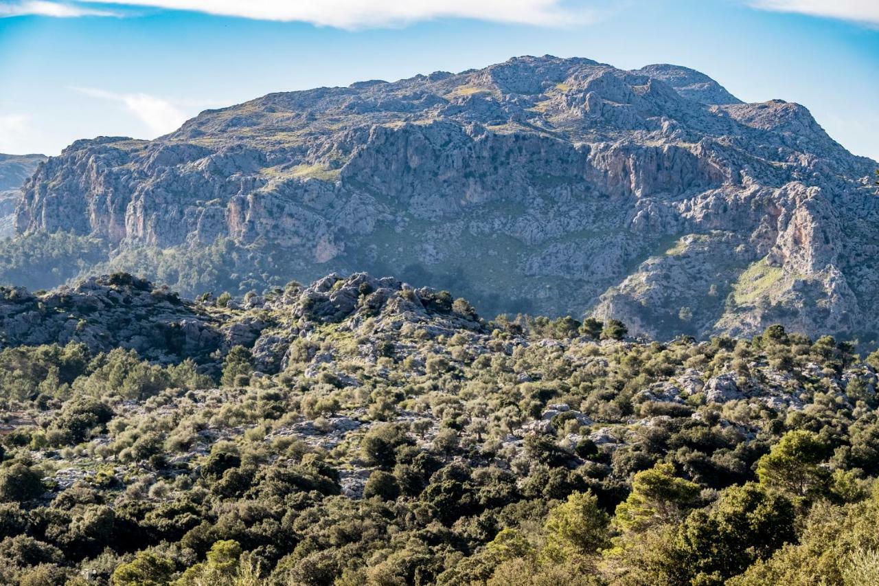 הוילה לוק Agroturismo Son Alzines מראה חיצוני תמונה