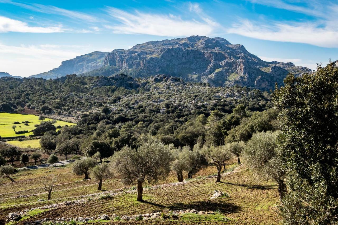 הוילה לוק Agroturismo Son Alzines מראה חיצוני תמונה