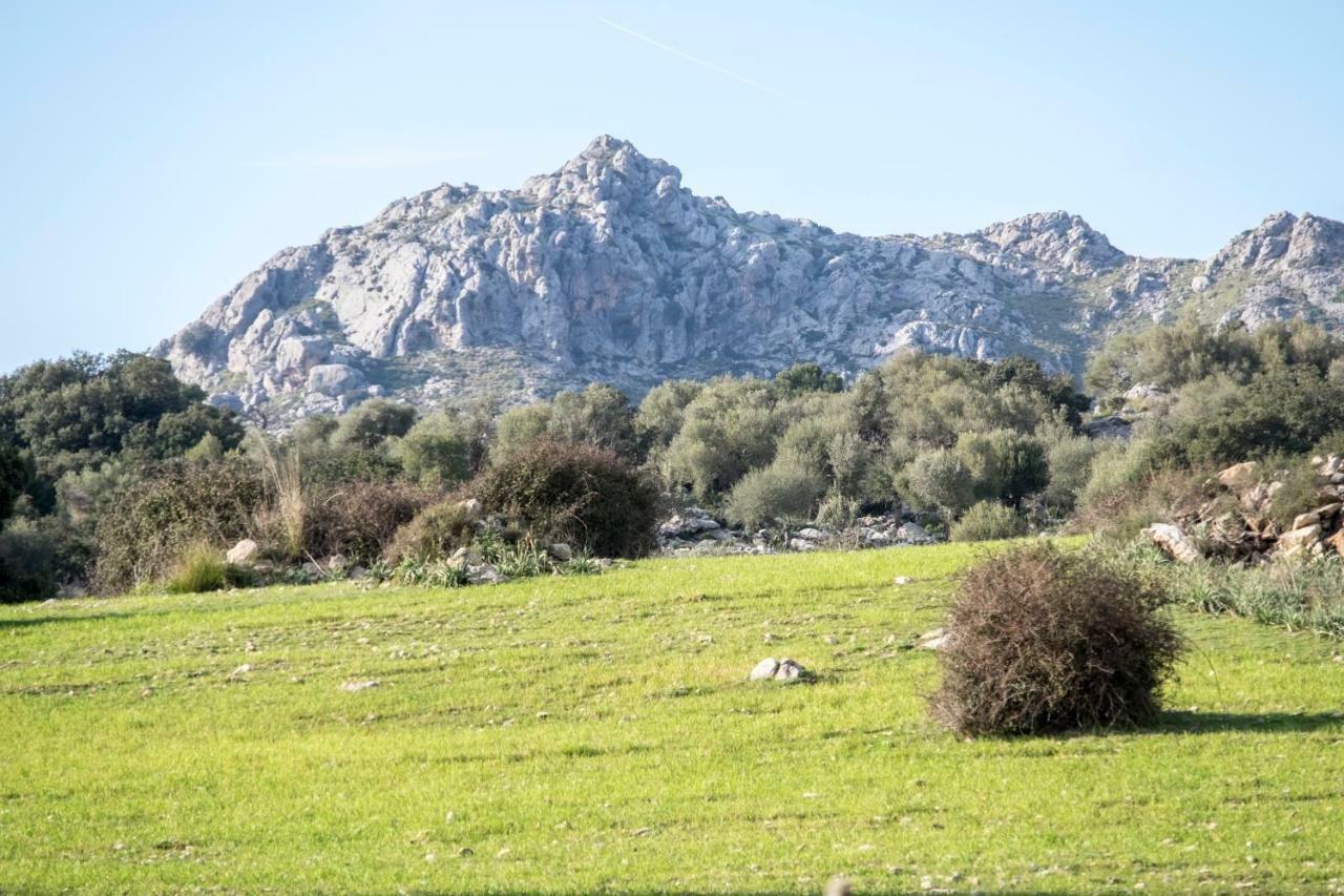 לוק Agroturismo Son Alzines מראה חיצוני תמונה