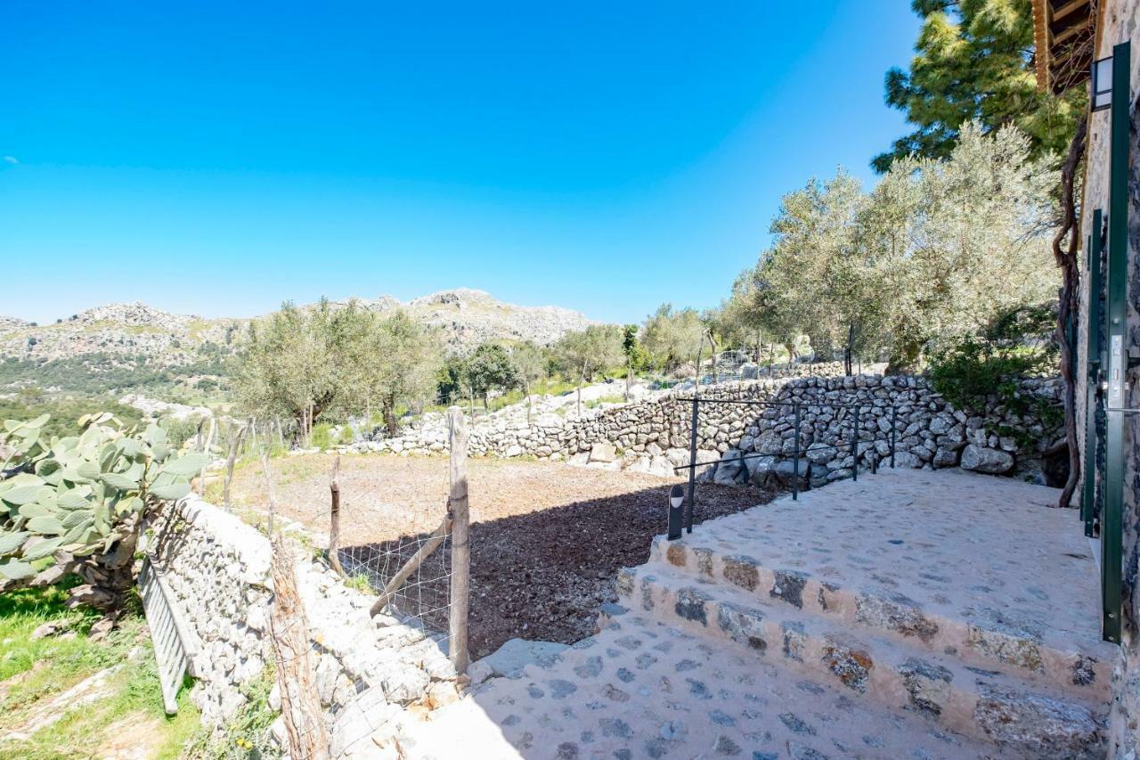 לוק Agroturismo Son Alzines מראה חיצוני תמונה
